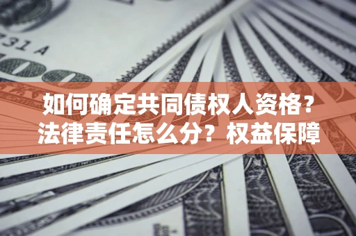 济南如何确定共同债权人资格？法律责任怎么分？权益保障技巧揭秘！