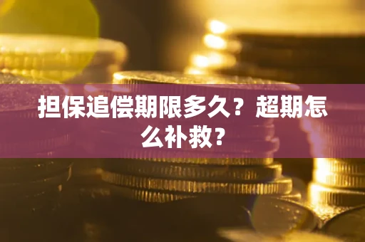 济南担保追偿期限多久？超期怎么补救？