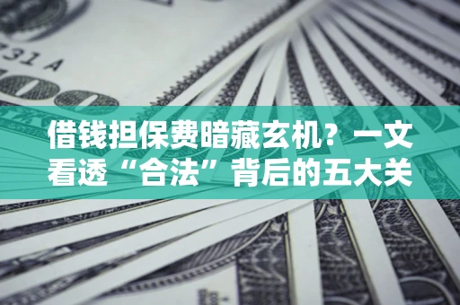 济南借钱担保费暗藏玄机？一文看透“合法”背后的五大关键陷阱