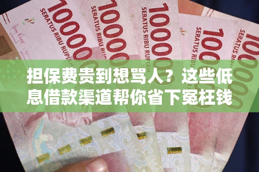 济南担保费贵到想骂人？这些低息借款渠道帮你省下冤枉钱