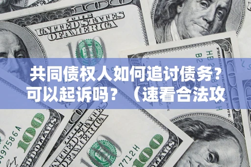 济南共同债权人如何追讨债务？可以起诉吗？（速看合法攻略）