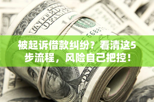 济南被起诉借款纠纷？看清这5步流程，风险自己把控！